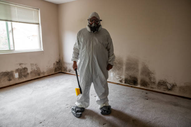 Best Mold Odor Removal Services  in Spring Hill, TN